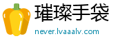 璀璨手袋